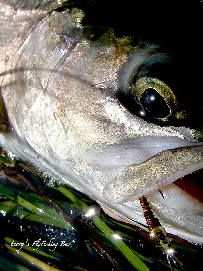 e0009009_11161912.jpg