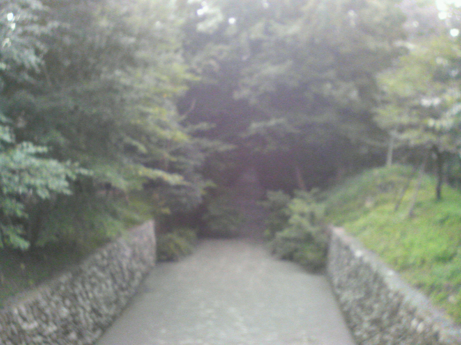 c0130614_21212824.jpg
