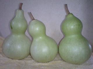 c0120316_953489.jpg