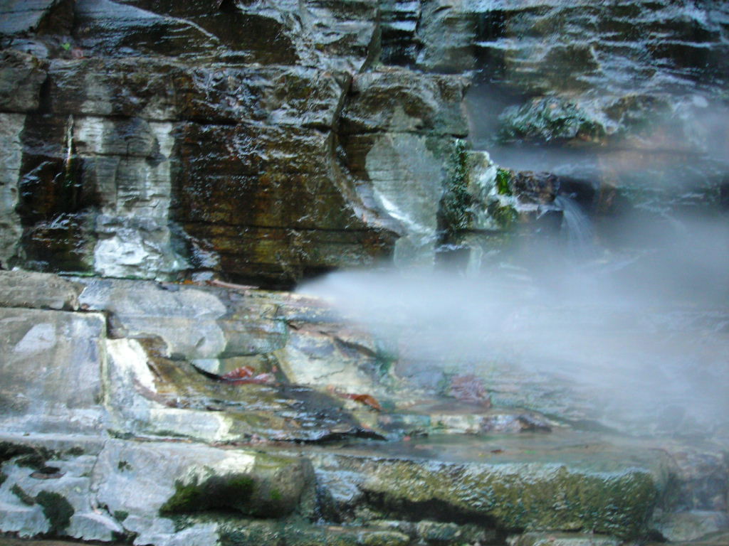 a0030217_8573344.jpg
