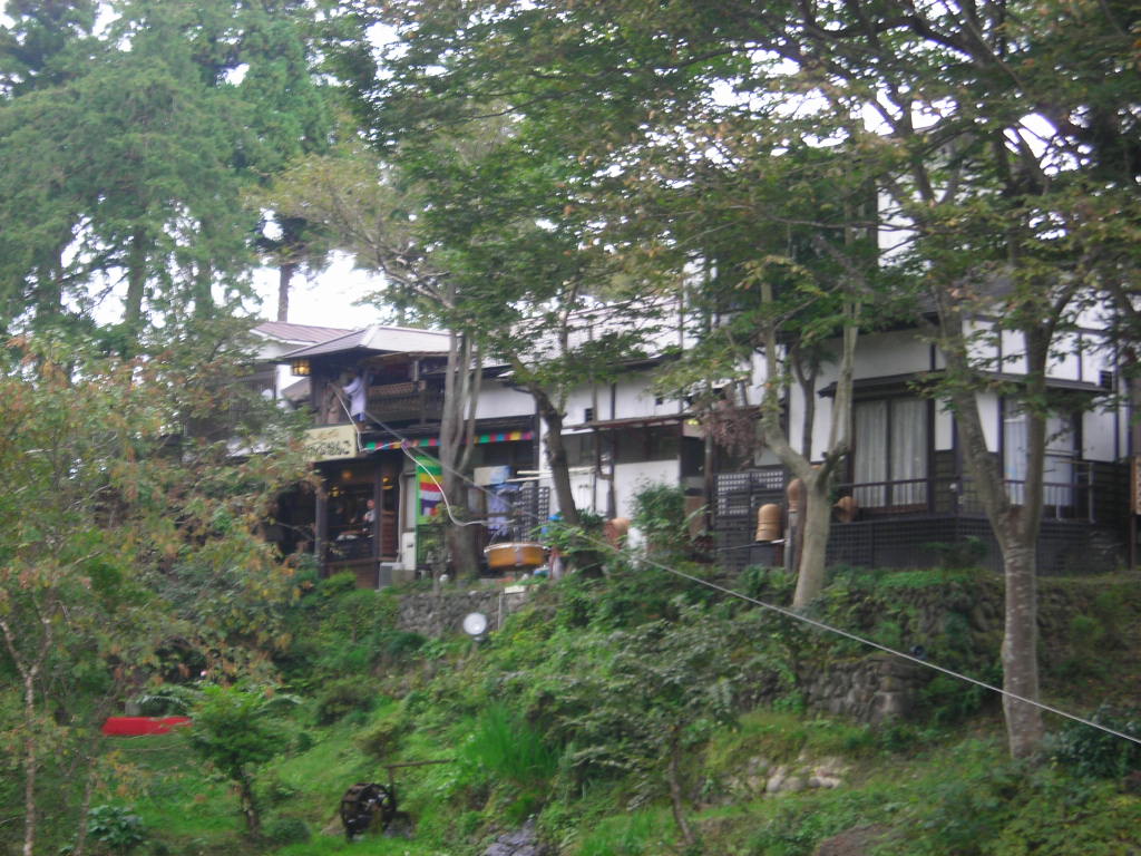 a0030217_982532.jpg