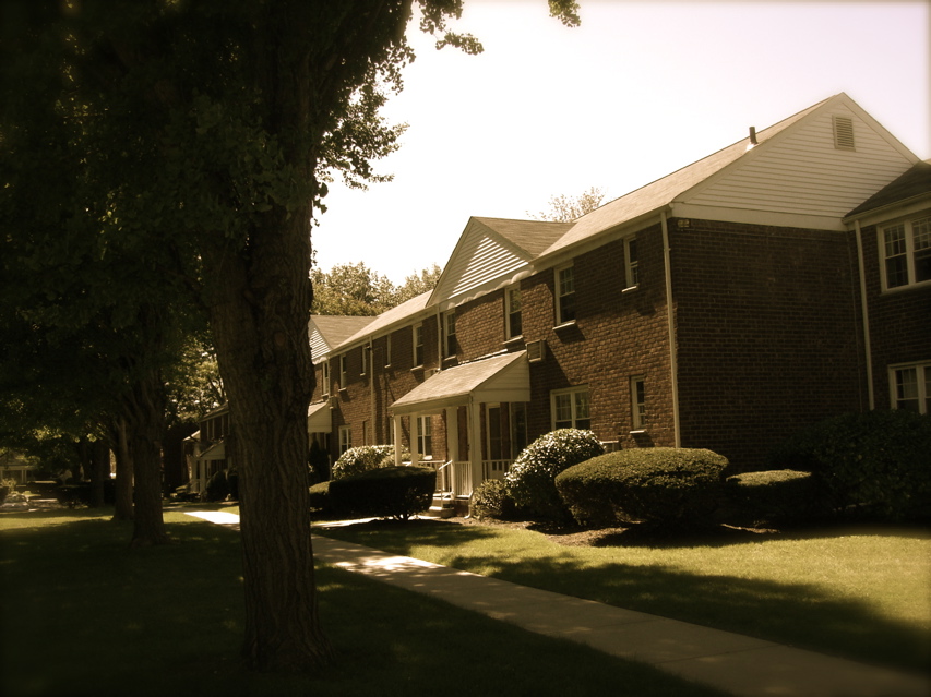 c0120817_15293498.jpg