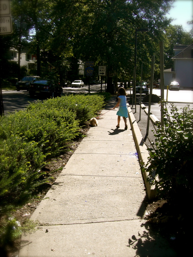 c0120817_15295441.jpg
