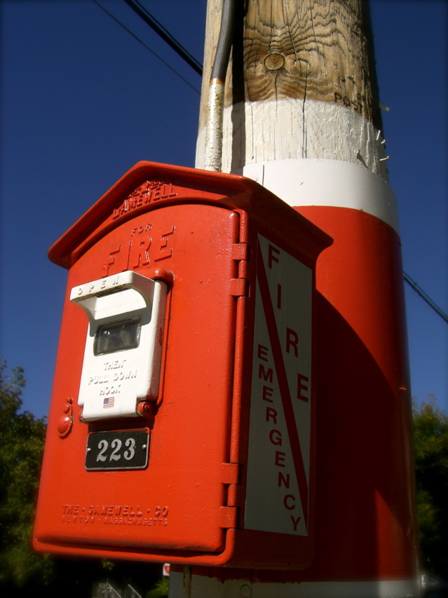 c0120817_15323244.jpg