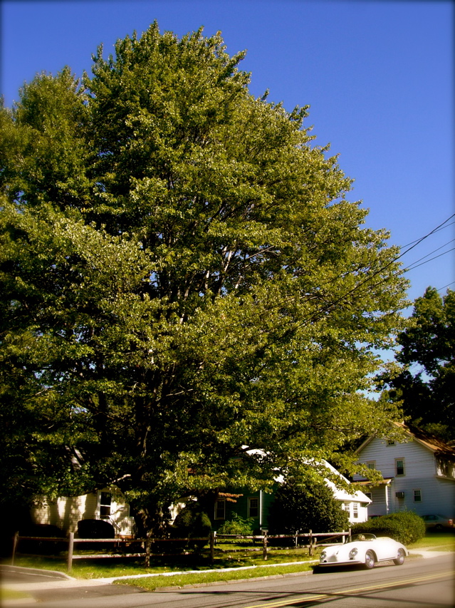 c0120817_15325193.jpg