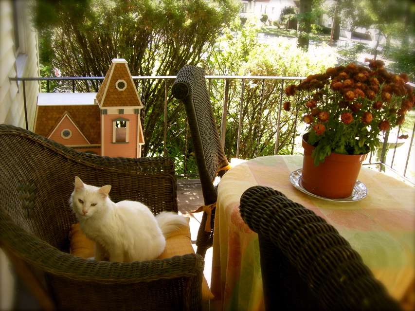 c0120817_1536789.jpg