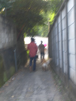 c0012120_22245795.jpg