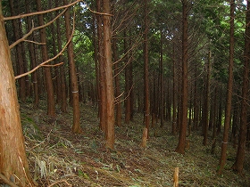 e0002820_17573263.jpg