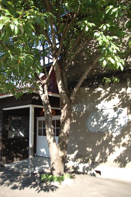 e0064128_20524855.jpg