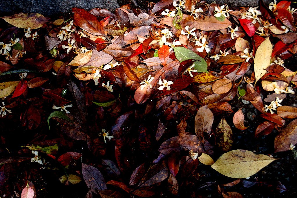 e0107030_13502011.jpg