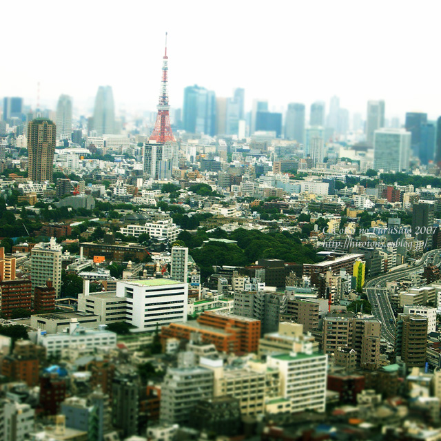 e0016732_1042273.jpg