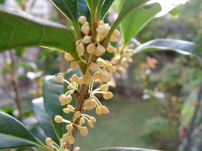 f0002833_14463043.jpg