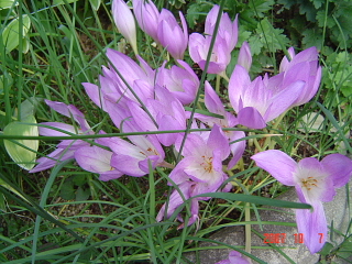 a0030639_21581117.jpg