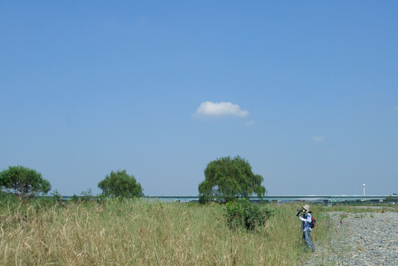 b0036743_1734715.jpg