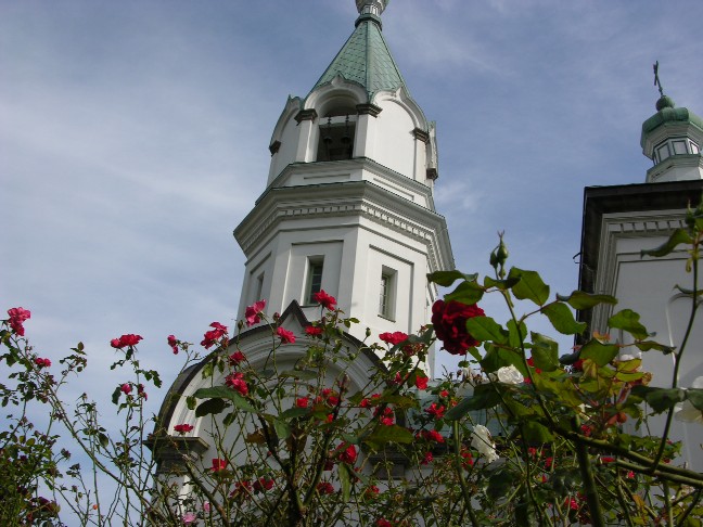 c0005546_23182136.jpg
