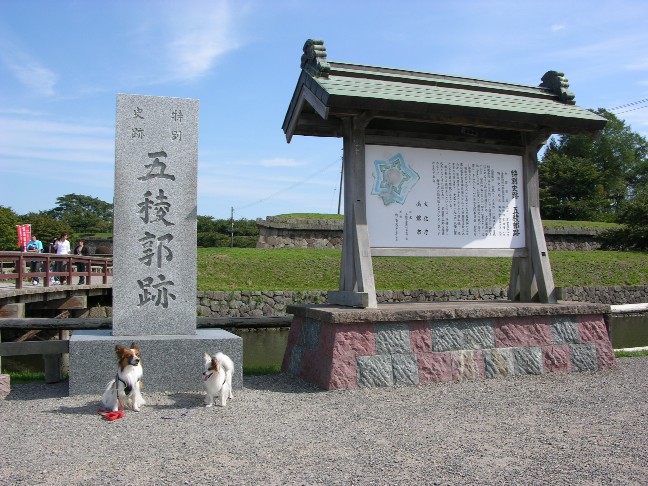 c0005546_23391689.jpg