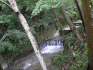 c0118352_23174710.jpg