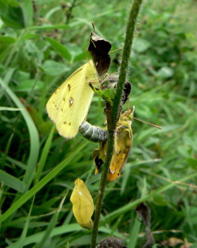 d0091754_0514043.jpg