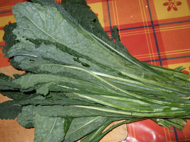 e0104154_1391092.jpg