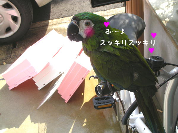 f0132055_159453.jpg