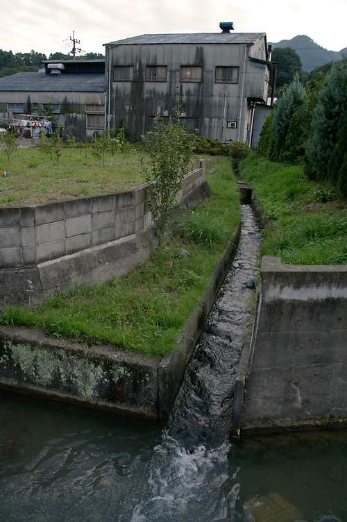 d0100156_19525866.jpg