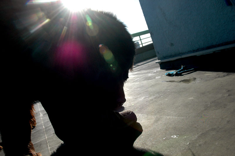 d0132056_21173855.jpg