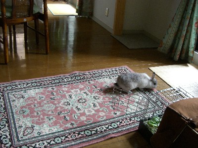 f0104057_125128.jpg