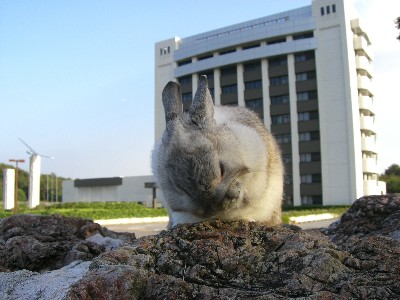 f0104057_20213725.jpg