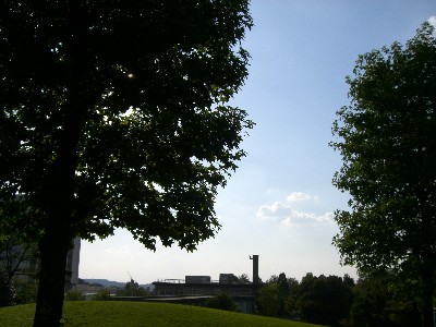 f0104057_20882.jpg