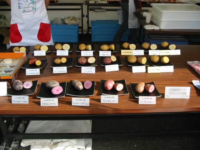 f0122259_22422496.jpg