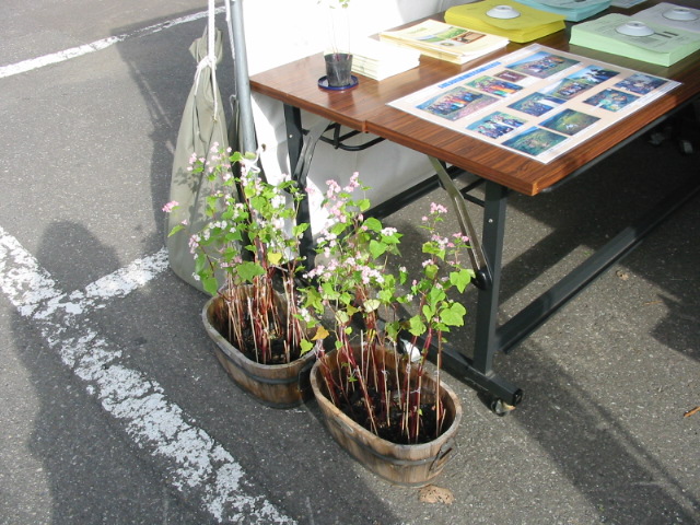 f0122259_22424891.jpg