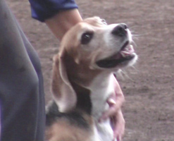 e0007060_2211257.jpg