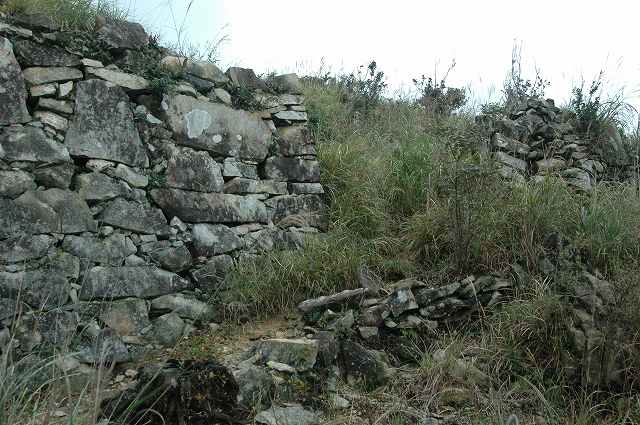 b0104861_21123546.jpg
