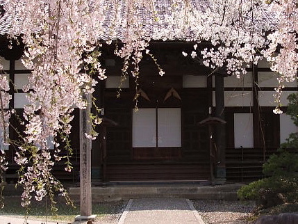 c0009461_8254562.jpg