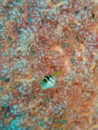 b0062363_19564258.jpg