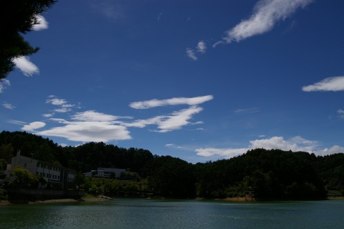 e0063263_1153535.jpg