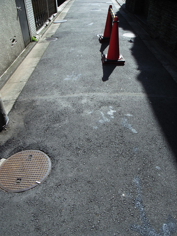c0084666_21164498.jpg