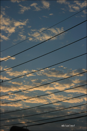 c0027369_2221287.jpg