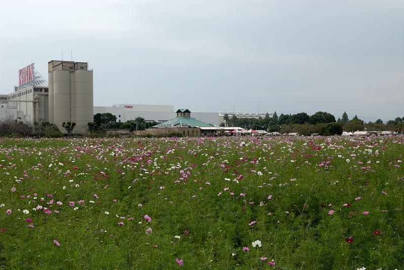 f0150672_23173487.jpg