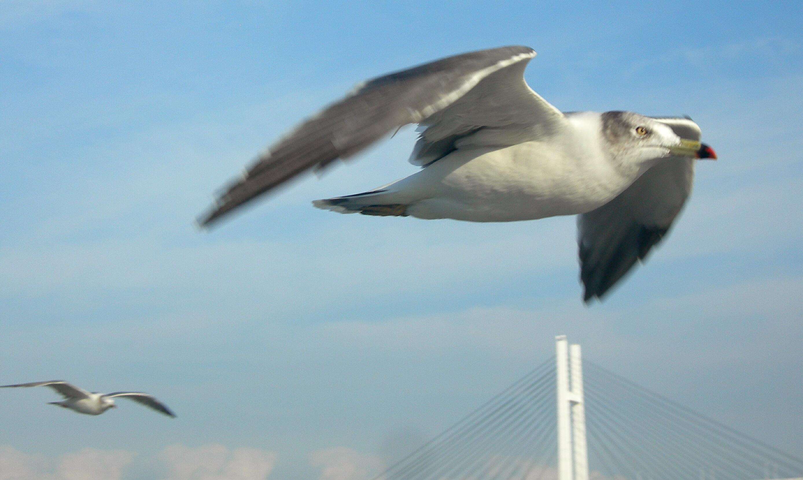 c0073377_1045815.jpg
