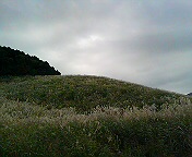c0066080_22153739.jpg