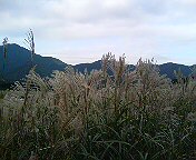 c0066080_22161923.jpg