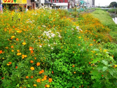 c0078480_23351071.jpg