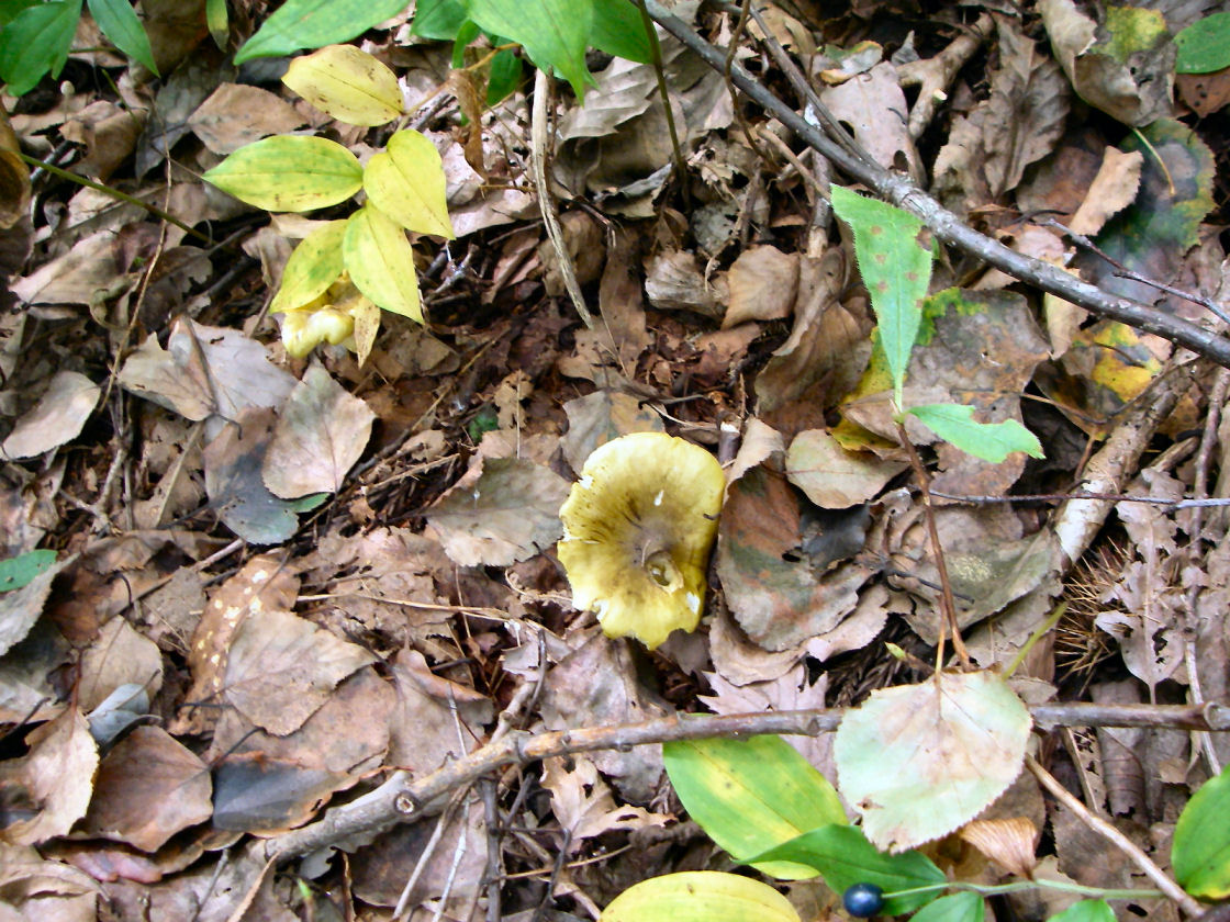 a0066081_2131050.jpg