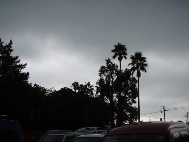 e0125483_320549.jpg