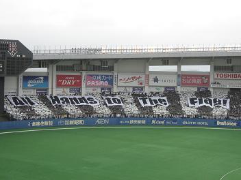 c0031888_205108.jpg