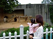 a0079990_1027870.jpg