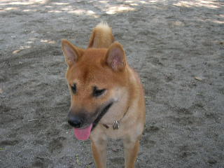 c0123890_21205165.jpg