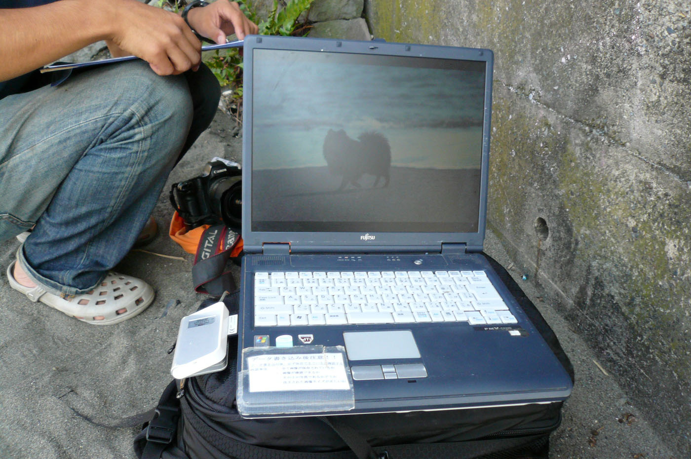 c0128896_0124463.jpg