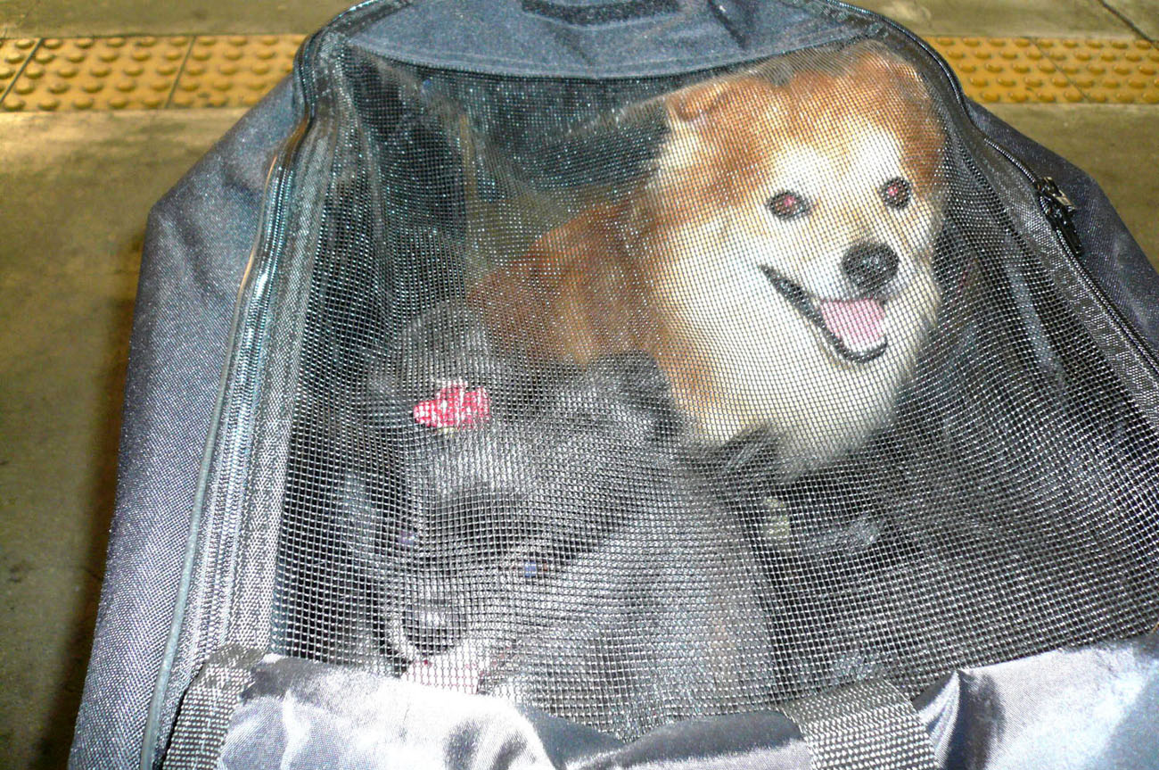 c0128896_05361.jpg